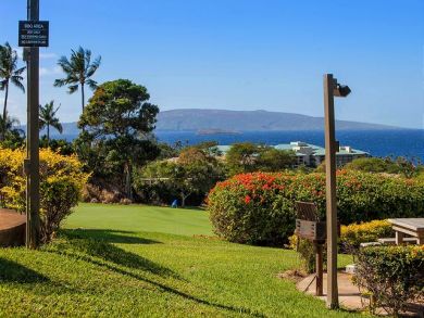 Wailea Condo 878529